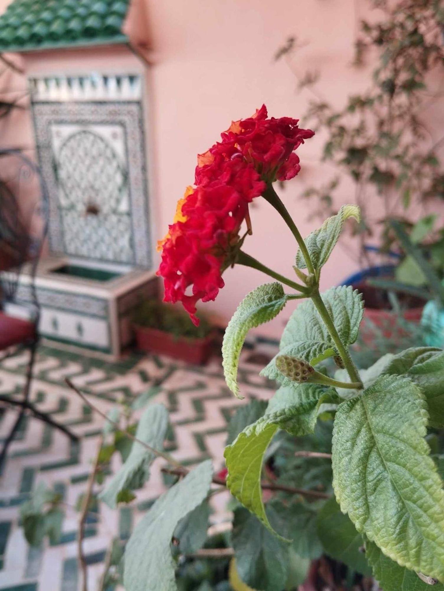 Готель Dar Lantana Фес Екстер'єр фото